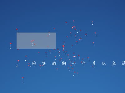 网贷逾期一个月以后还 网贷逾期一个月以后还