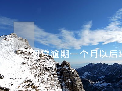 网贷逾期一个月以后还能买房嘛 网贷逾期一个月以后还能买房嘛