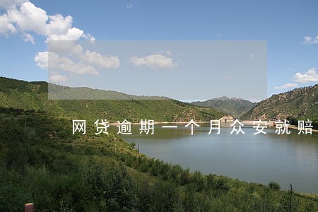 网贷逾期一个月众安就赔付了 网贷逾期一个月众安就赔付了
