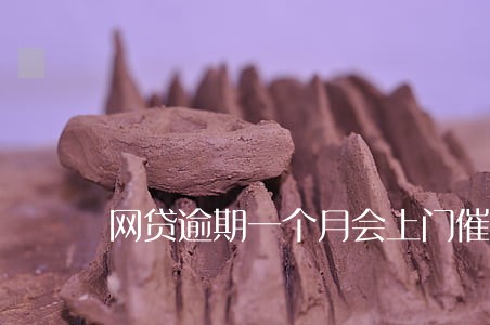 网贷逾期一个月会上门催收么 网贷逾期一个月会上门催收么