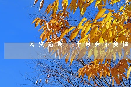 网贷逾期一个月会不会催收 网贷逾期一个月会不会催收