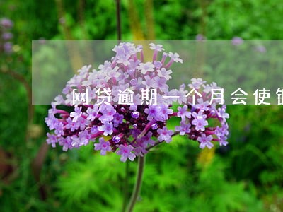 网贷逾期一个月会使银行卡冻结吗 网贷逾期一个月会使银行卡冻结吗