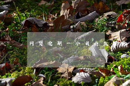 网贷逾期一个月会发解约函吗 网贷逾期一个月会发解约函吗