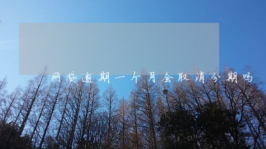 网贷逾期一个月会取消分期吗 网贷逾期一个月会取消分期吗