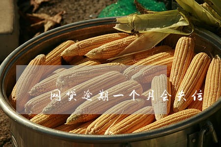 网贷逾期一个月会失信