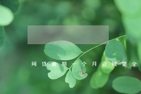 网贷逾期一个月会被要全款结清吗