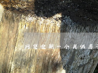 网贷逾期一个月供房子 网贷逾期一个月供房子