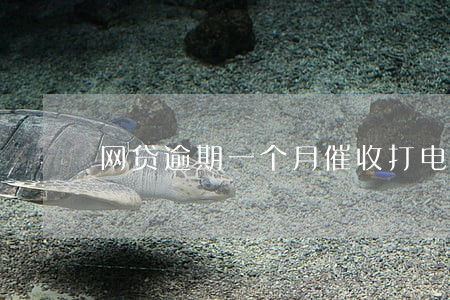 网贷逾期一个月催收打电话少了 网贷逾期一个月催收打电话少了