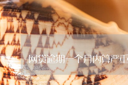 网贷逾期一个月内算严重吗 网贷逾期一个月内算严重吗