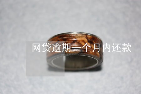 网贷逾期一个月内还款 网贷逾期一个月内还款