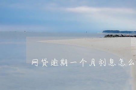 网贷逾期一个月利息怎么算 网贷逾期一个月利息怎么算
