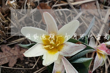 网贷逾期一个月可以坐高铁吗 网贷逾期一个月可以坐高铁吗