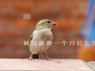 网贷逾期一个月后怎么办 网贷逾期一个月后怎么办