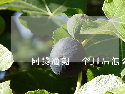 网贷逾期一个月后怎么样 网贷逾期一个月后怎么样