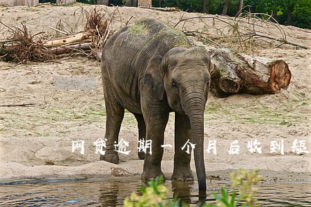 网贷逾期一个月后收到短信通知 网贷逾期一个月后收到短信通知