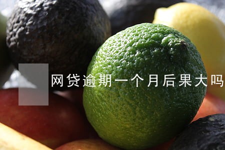 网贷逾期一个月后果大吗 网贷逾期一个月后果大吗