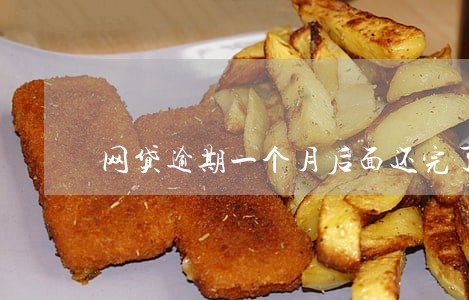 网贷逾期一个月后面还完了