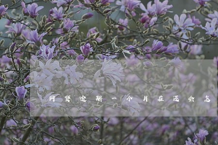 网贷逾期一个月在还会怎么样 网贷逾期一个月在还会怎么样