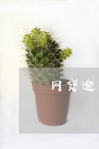 网贷逾期一个月在还可以吗 网贷逾期一个月在还可以吗