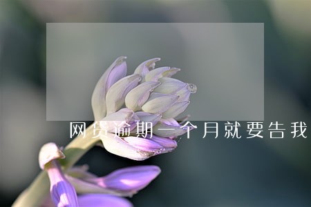 网贷逾期一个月就要告我 网贷逾期一个月就要告我