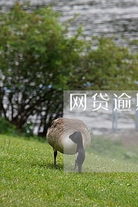 网贷逾期一个月影响征兵么 网贷逾期一个月影响征兵么
