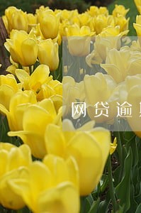 网贷逾期一个月想还利息太高