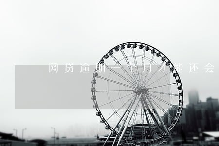 网贷逾期一个月才能还会怎么样 网贷逾期一个月才能还会怎么样