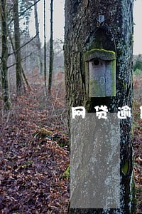 网贷逾期一个月无力偿还怎么办 网贷逾期一个月无力偿还怎么办