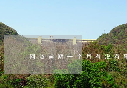 网贷逾期一个月有没有事 网贷逾期一个月有没有事