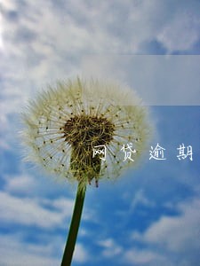 网贷逾期一个月本地电话说要上门 网贷逾期一个月本地电话说要上门