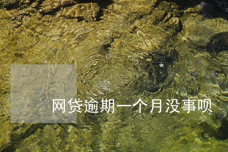 网贷逾期一个月没事呗 网贷逾期一个月没事呗