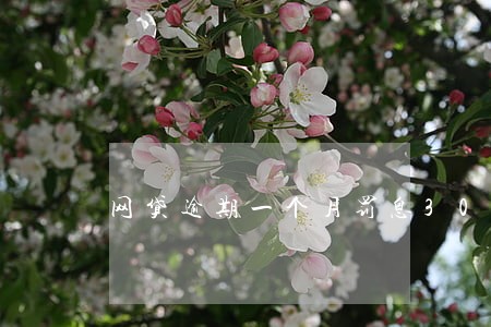 网贷逾期一个月罚息3000 网贷逾期一个月罚息3000