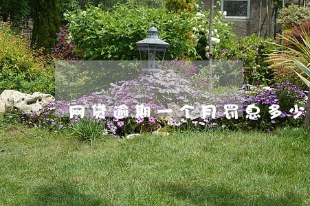 网贷逾期一个月罚息多少