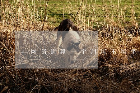 网贷逾期一个月能不能坐动车 网贷逾期一个月能不能坐动车