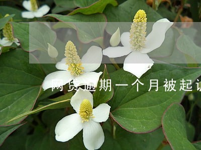 网贷逾期一个月被起诉怎么办 网贷逾期一个月被起诉怎么办