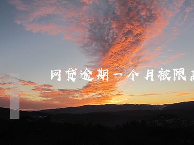 网贷逾期一个月被限高 网贷逾期一个月被限高