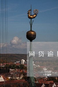 网贷逾期一个月要还全款吗 网贷逾期一个月要还全款吗