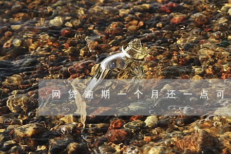 网贷逾期一个月还一点可以吗 网贷逾期一个月还一点可以吗