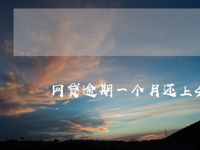 网贷逾期一个月还上会怎么样 网贷逾期一个月还上会怎么样