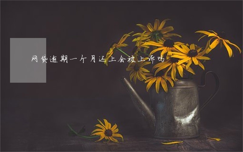 网贷逾期一个月还上会被上诉吗 网贷逾期一个月还上会被上诉吗