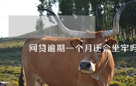 网贷逾期一个月还会坐牢吗 网贷逾期一个月还会坐牢吗