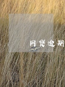 网贷逾期一个月还款可以吗 网贷逾期一个月还款可以吗