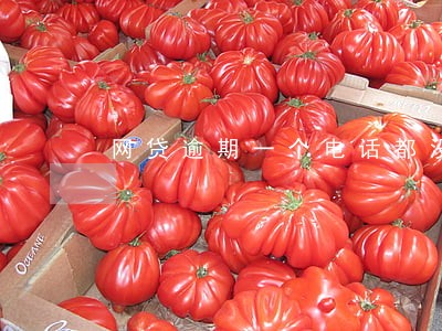 网贷逾期一个电话都没接怎么办 网贷逾期一个电话都没接怎么办