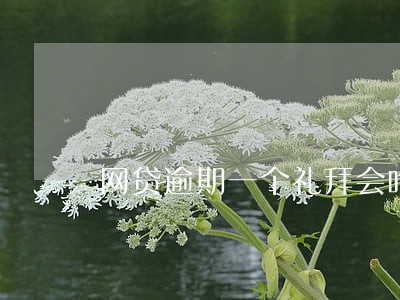网贷逾期一个礼拜会咋样 网贷逾期一个礼拜会咋样