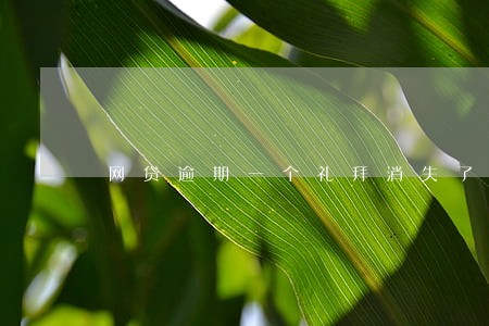 网贷逾期一个礼拜消失了 网贷逾期一个礼拜消失了