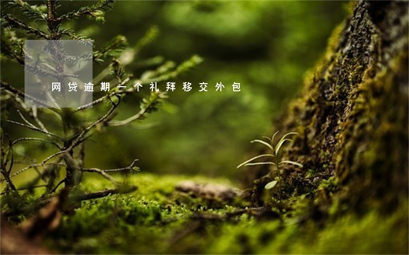 网贷逾期一个礼拜移交外包 网贷逾期一个礼拜移交外包