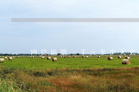 网贷逾期一千元多少天会被起诉