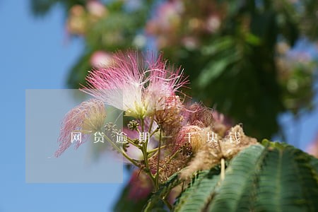 网贷逾期一千块钱 网贷逾期一千块钱