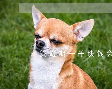 网贷逾期一千块钱会起诉吗 网贷逾期一千块钱会起诉吗