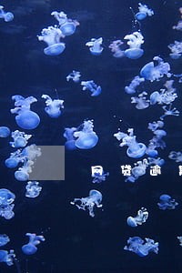 网贷逾期一千多天了没有还 网贷逾期一千多天了没有还